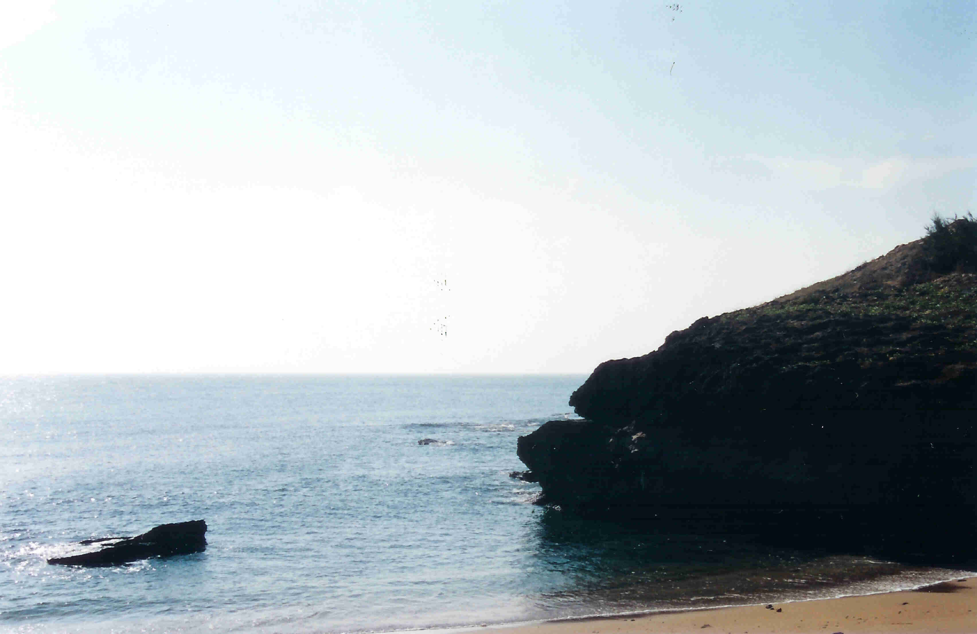 diu3.jpg